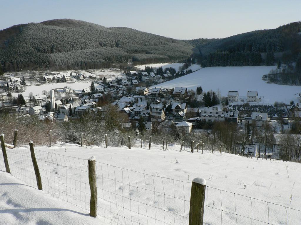 Landhaus Silberberg Winterberg Ngoại thất bức ảnh